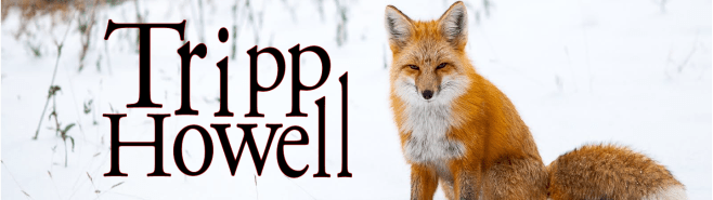 Tripp Howell is the fox